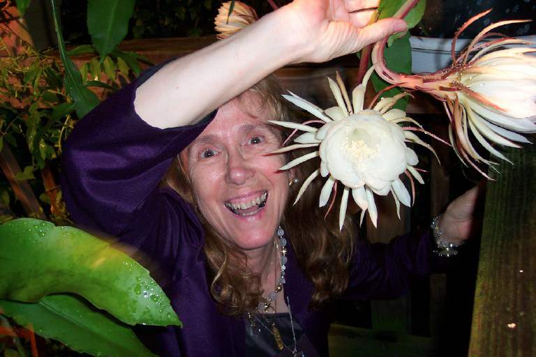 pilar with night blooming cactus